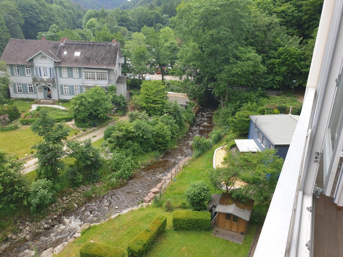 Apartz - Bad Harzburg - Apartment Mit Sauna In Idealer Lage Mit Bergblick Zewnętrze zdjęcie